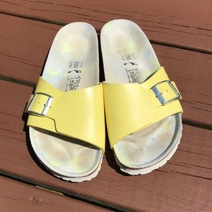 Yellow Birks